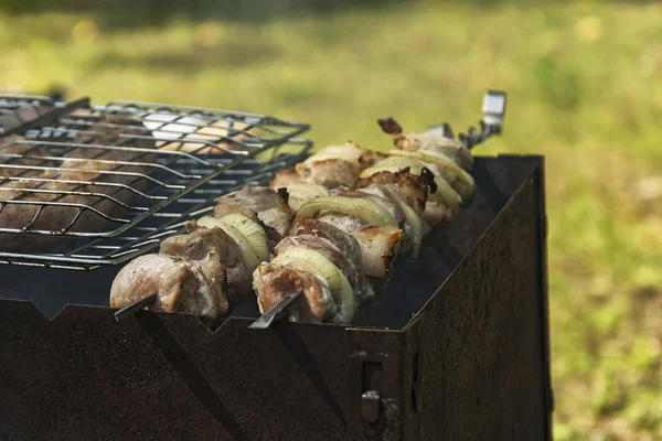 Pedaços de carne em espetos são assados na grelha — Fotografia de Stock