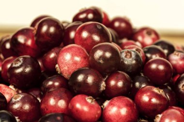 Kızılcık Olgun kırmızı meyveler fotoğrafı yakın çekim vardır