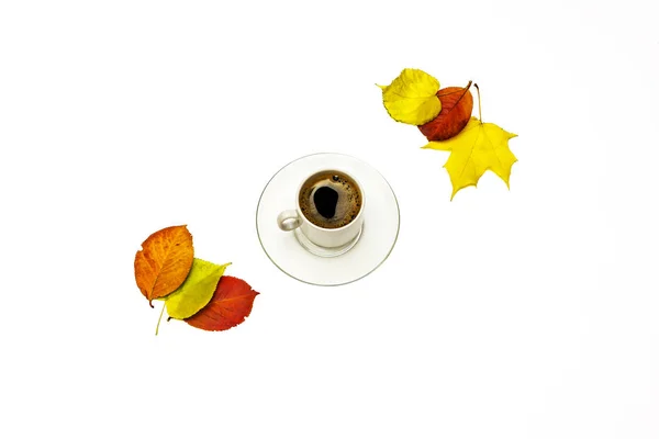 Herfst bladeren en een kopje koffie met een schotel op een witte backg — Stockfoto