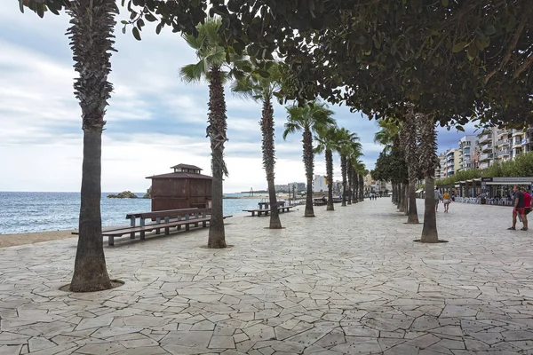 Palmiye sokak ve Blanes (İspanya iskele) — Stok fotoğraf