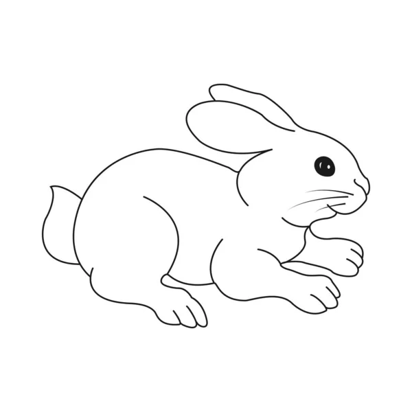 Cute black and white empty outline of a hare. Vector illustratio — ストックベクタ