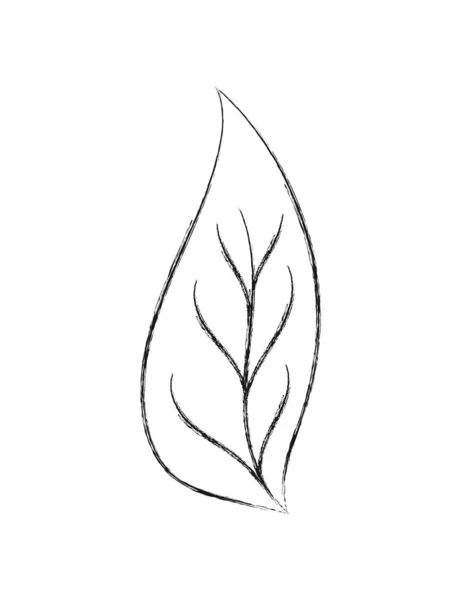 Dibujo a lápiz de una hoja de flores. Estilo Doodle plano. Aislado en un — Archivo Imágenes Vectoriales