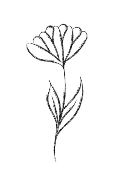Dibujo a lápiz de una flor con pétalos. Estilo Doodle plano. Aislamiento — Archivo Imágenes Vectoriales
