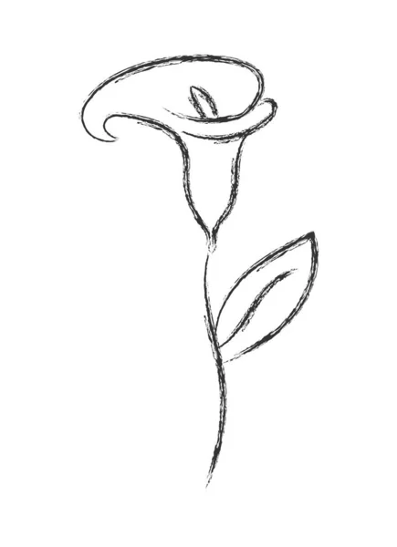Schizzo di matita di un fiore con petali. Stile Doodle piatto. Isolato — Vettoriale Stock