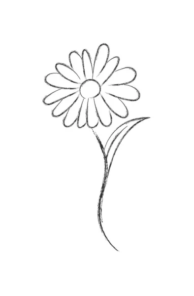 Desenho a lápis de uma flor com pétalas. Estilo Doodle plano. Isolado — Vetor de Stock