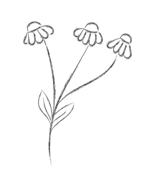 Desenho a lápis de uma flor com pétalas. Estilo Doodle plano. Isolado —  Vetores de Stock