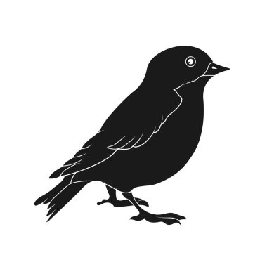 Bir kuşun silueti. Beyaz arkaplanda izole