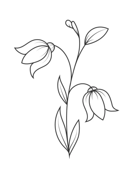 Taç yapraklı bir çiçeğin boş ana hatları. Bir Doodle tarzı özet — Stok Vektör