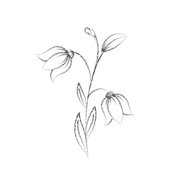 Pencil sketch of a flower with petals. A Doodle-style outline is — ストックベクタ