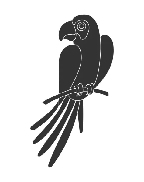 Contorno silueta de un pájaro loro en una rama. Aislado en whi — Vector de stock