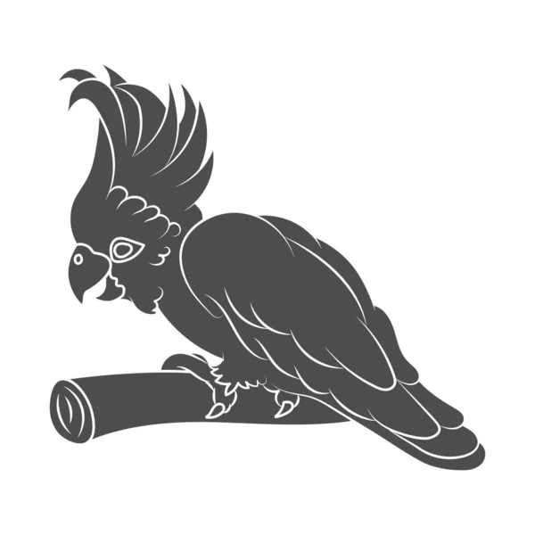 Контурный силуэт птицы попугая на ветке. Isolated on whi — стоковый вектор