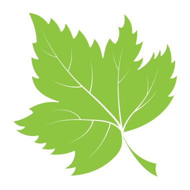 Beyaz bir ba üzerinde izole edilmiş bir yaprak bitkisinin vektör renkli silueti