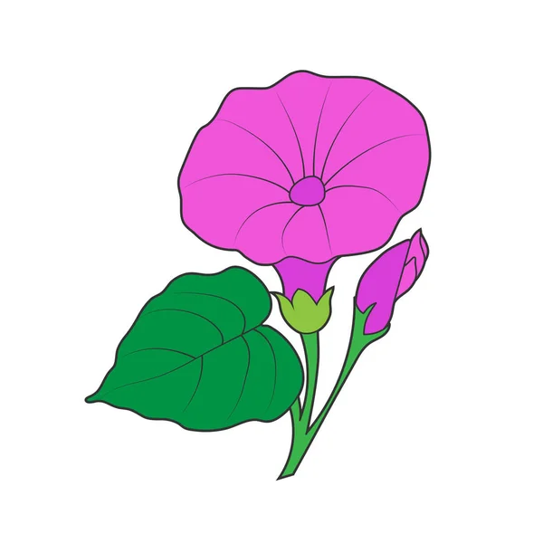 Vetor silhueta colorida de uma bela flor isolada em um wh — Vetor de Stock