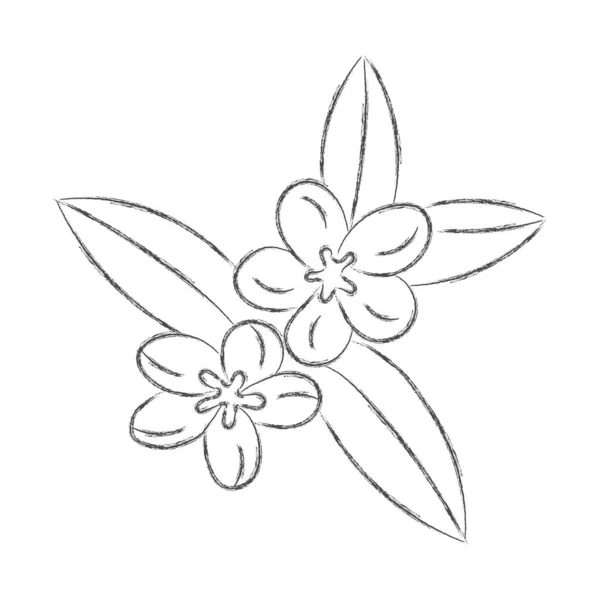 Wektorowy ołówek rysunek kwiatu z liśćmi odizolowanymi na białku — Wektor stockowy