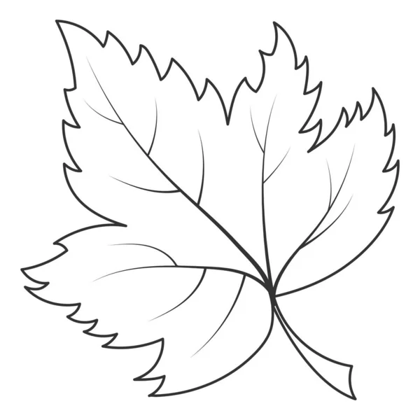 Bir yaprak bitkisinin boş siluetinin vektör ana hatları — Stok Vektör