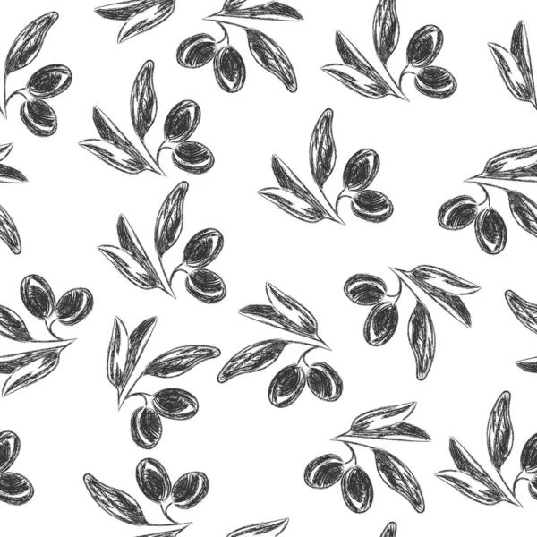 Vector pencil drawing of olive branch isolated on white backgrou — 스톡 벡터