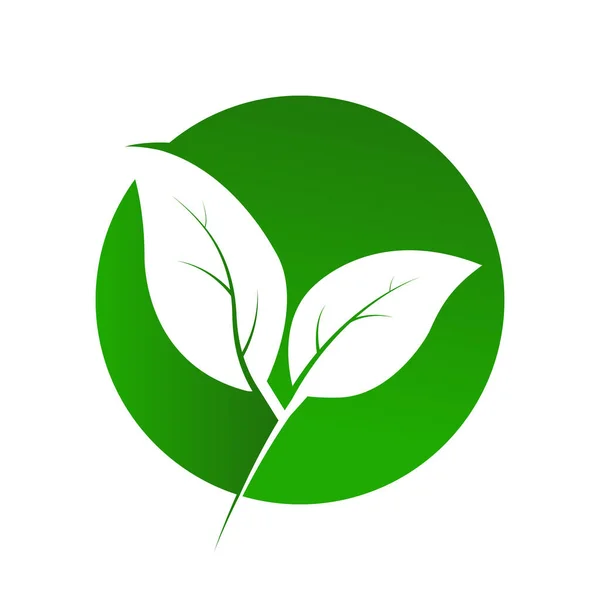 Círculo Cortan Dos Hojas Planta Símbolo Ecología Logo Logotipo Pegatina — Vector de stock