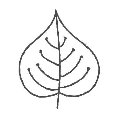 Doodle tarzında bir bitki yaprağının vektör el çizimi çizimi. Beyaz arka planda izole edilmiş boş bir hat. Koleksiyon defteri, boyama kitapları ve tema tasarımı için basit tasarım.