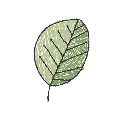 Bir bitki yaprağının gölgeli vektör rengi. Tema tasarımı için el çizimi Doodle biçimi beyaz arkaplanda izole