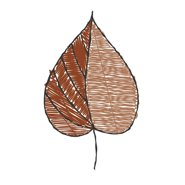 Διάνυσμα Χρώματος Σκιασμένο Περίγραμμα Ενός Φύλλου Φυτού Χειροποίητο Doodle Στυλ — Διανυσματικό Αρχείο