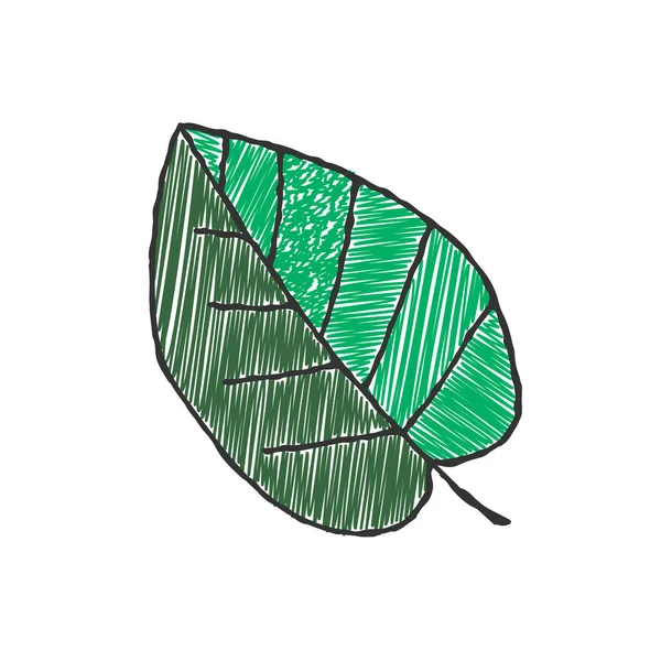 Kolor Wektorowy Zacieniony Zarys Liścia Rośliny Ręcznie Rysowane Doodle Stylu — Wektor stockowy