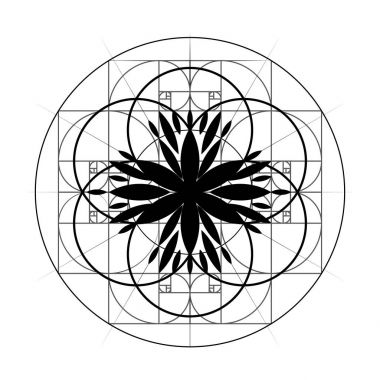 Kutsal geometri. Altın bölüm. 10 eps vektör