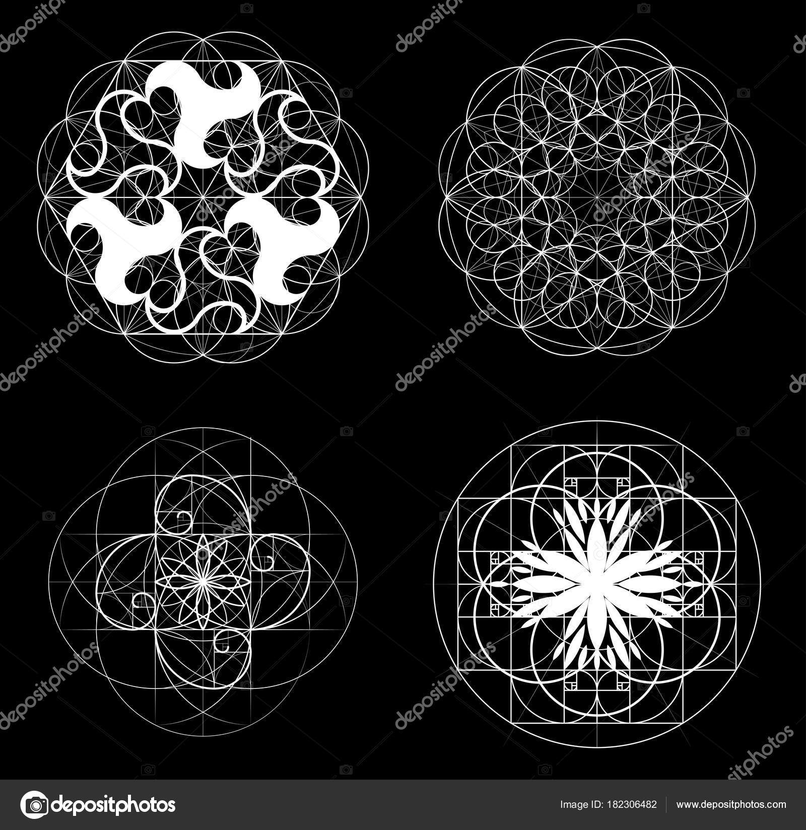 Golden Section. Sacred Geometry. Set vector symbol at the intersection for  a number of Fibonacci lines. Crossing lines. Intersecting circles. Geometric  pattern. Vector illustrations. Stock Vector by ©Ann_Sereda 182306482, image size:1600x1648