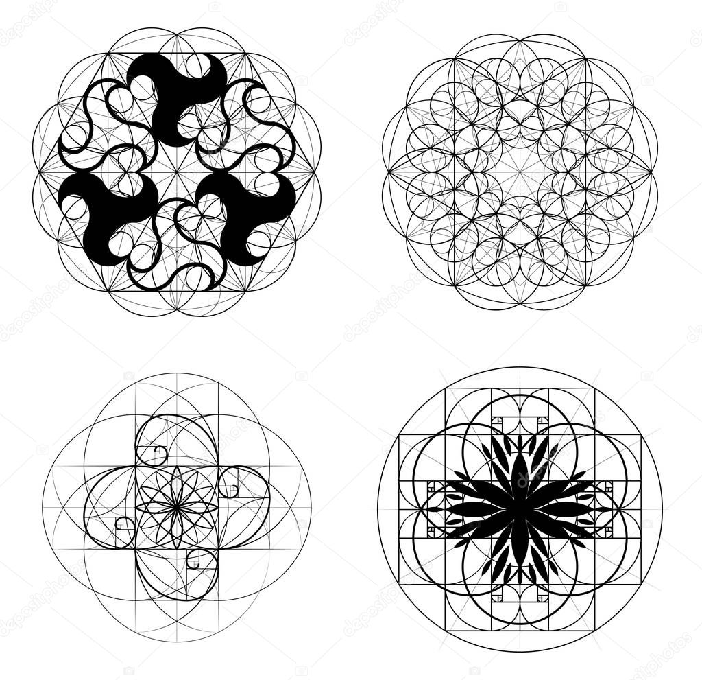 Golden Ratio, a set of elements of sacred geometry. Crossing lines. Intersecting circles. Geometric pattern. Vector illustrations 10 eps