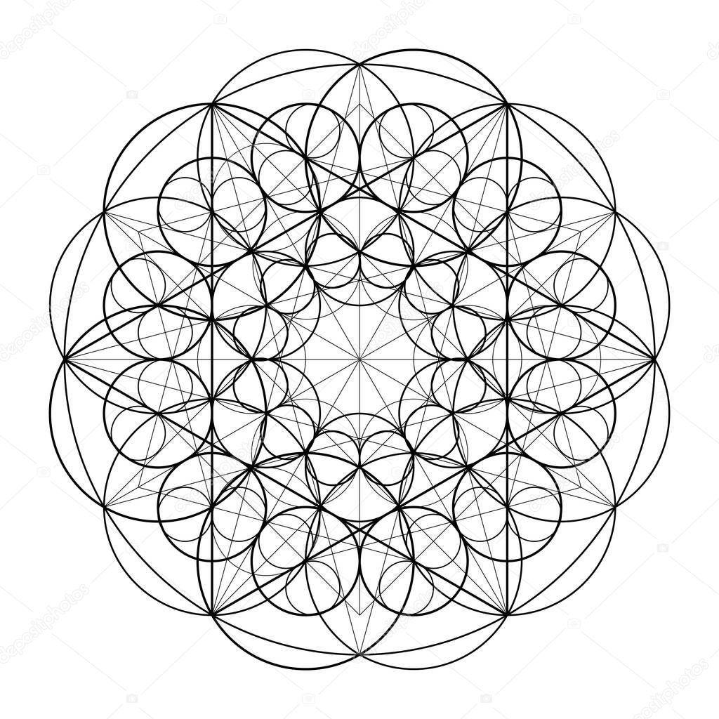 Ornament from circles. Geometric pattern based on the repetition of elements. Sacred Geometry. Template for the mandala. Vector pattern