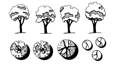 Ağaçlar bir peyzaj tasarımı için. Çizilmiş ağaç izole beyaz arka plan, kroki, mimari çizim tarzı farklı el seti ağaçları. Üst ve ön görünüm
