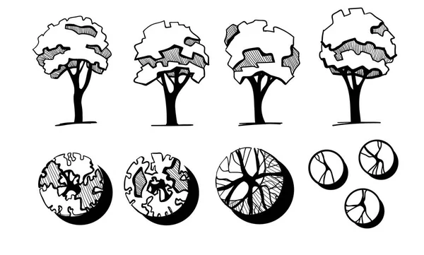 Дерева для ландшафтного дизайну. Різні дерева, намальовані вручну, ізольовані на білому тлі, ескіз, архітектурний набір дерев стилю малювання. Вид зверху і спереду — стоковий вектор