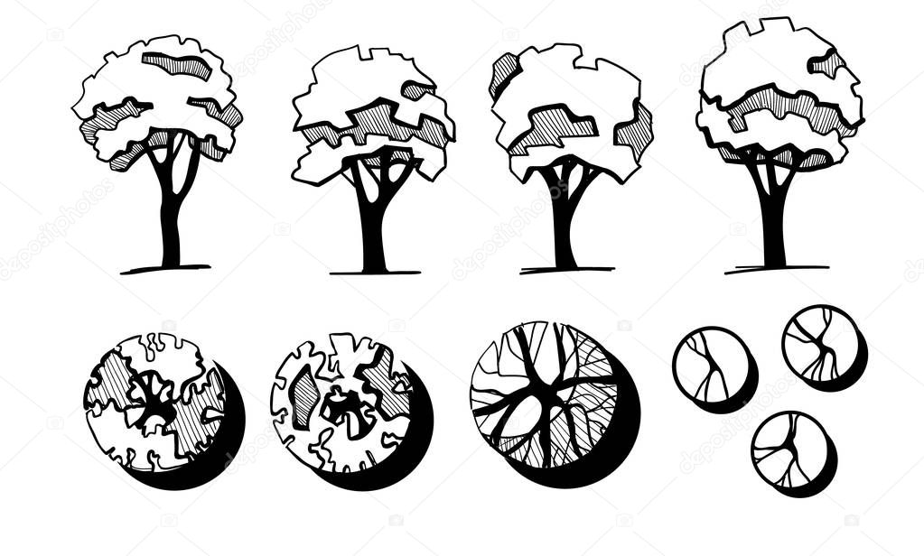 Trees for a landscape design. Different hand drawn trees isolated on white background, sketch, architectural drawing style trees set. Top and front view