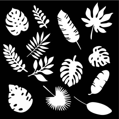 Palm siyah arka plan üzerine izole siluetleri kümesi bırakır. Tropikal yaprak siluet elemanları izole ayarla. Palm, fan palmiye, monstera, muz yaprakları vektör çizim siyah ve beyaz renklerde Eps10.