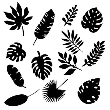 Palm beyaz arka plan üzerinde izole siluetleri kümesi bırakır. Tropikal yaprak siluet elemanları izole ayarla. Palm, fan palmiye, monstera, muz yaprakları vektör çizim siyah ve beyaz renklerde Eps10.