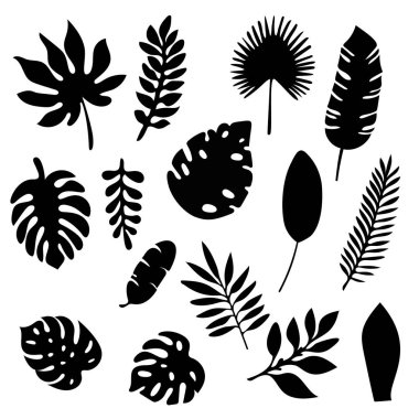 Palm beyaz arka plan üzerinde izole siluetleri kümesi bırakır. Tropikal yaprak siluet elemanları izole ayarla. Palm, fan palmiye, monstera, muz yaprakları vektör çizim siyah ve beyaz renklerde Eps10.