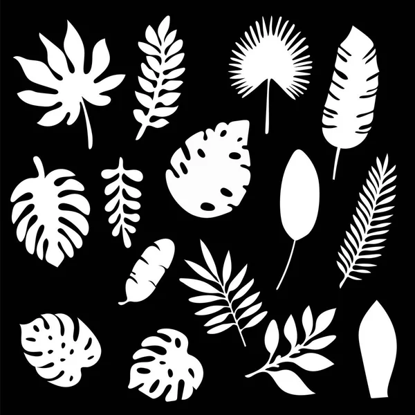 Le silhouette delle foglie di palma sono isolate su sfondo nero. Elementi di silhouette foglia tropicale impostato isolato. Palma, palma da ventilatore, monstera, foglie di banana Illustrazione vettoriale in bianco e nero EPS10 . — Vettoriale Stock