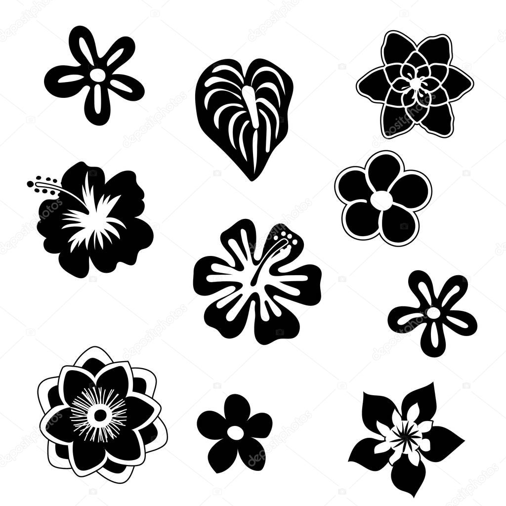 Free Free 85 Tropical Flower Silhouette Svg SVG PNG EPS DXF File