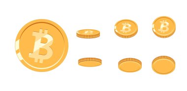 Animasyon için farklı açılarda Bitcoin altın sikke. Vektör Bitcoin ayarlayın. Finans Para Döviz Alım bitcoin illüstrasyon. Dijital para. Vektör simgesi.
