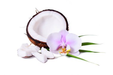 Yaz reklamı için Hindistan cevizi, palmiye yaprağı ve orkide çiçekli güzel tropikal kompozisyon.