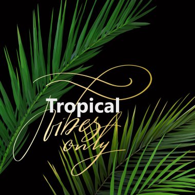 Tişört tasarımı için yaprakları olan tropik yaz baskısı