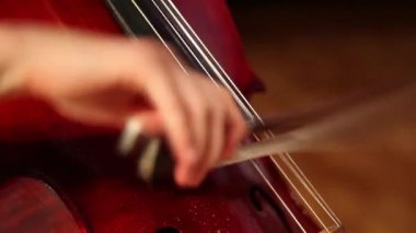 Orkestra performans Sahne Alanı'ndaki
