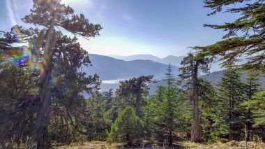 Doğa manzara, doğa, manzara, doğa manzara, doğa, manzara, taş doğa, taş manzara, doğa taş