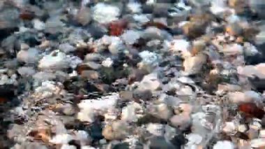 Günbatımı güzel koyunda