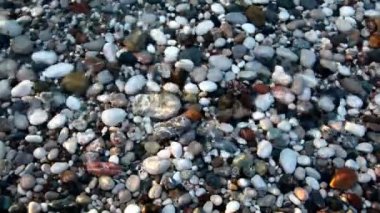 Günbatımı güzel koyunda