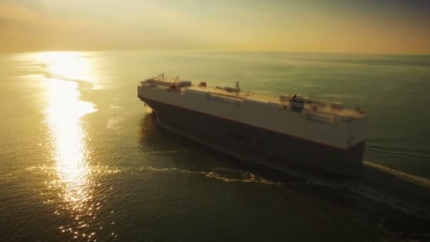 Повітряний Постріл Контейнерного Корабля Океані — стокове відео