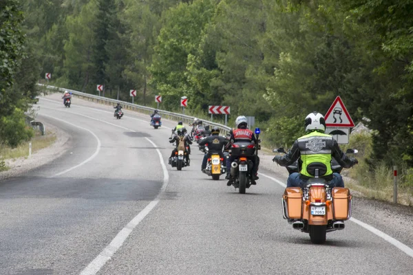 Harley Davidson 'a binerken mutlu sürücü