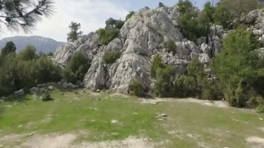 Hava: dağlarda Ladin ormanı üzerinde uçan