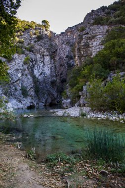 Akımı ile gizemli dağlık orman