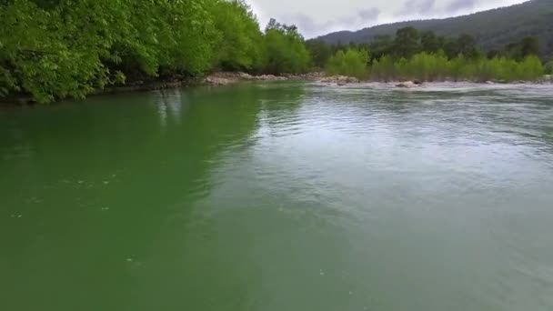 Shora Dolů Pohled Fast Moving Řeky Peřejemi Obklopená Borovým Lesem — Stock video
