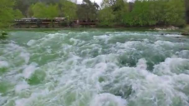 Góry Dół Widok Fast Moving Rzeki Rapids Otoczeniu Sosnowego Lasu — Wideo stockowe